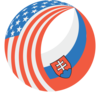 AmCham Logo